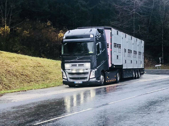 Bétaillères de transport animaux vivants d'élevage, maison Derrien, Bretagne Bétaillères de transport animaux vivants d'élevage, Maison Derrien, Bretagne